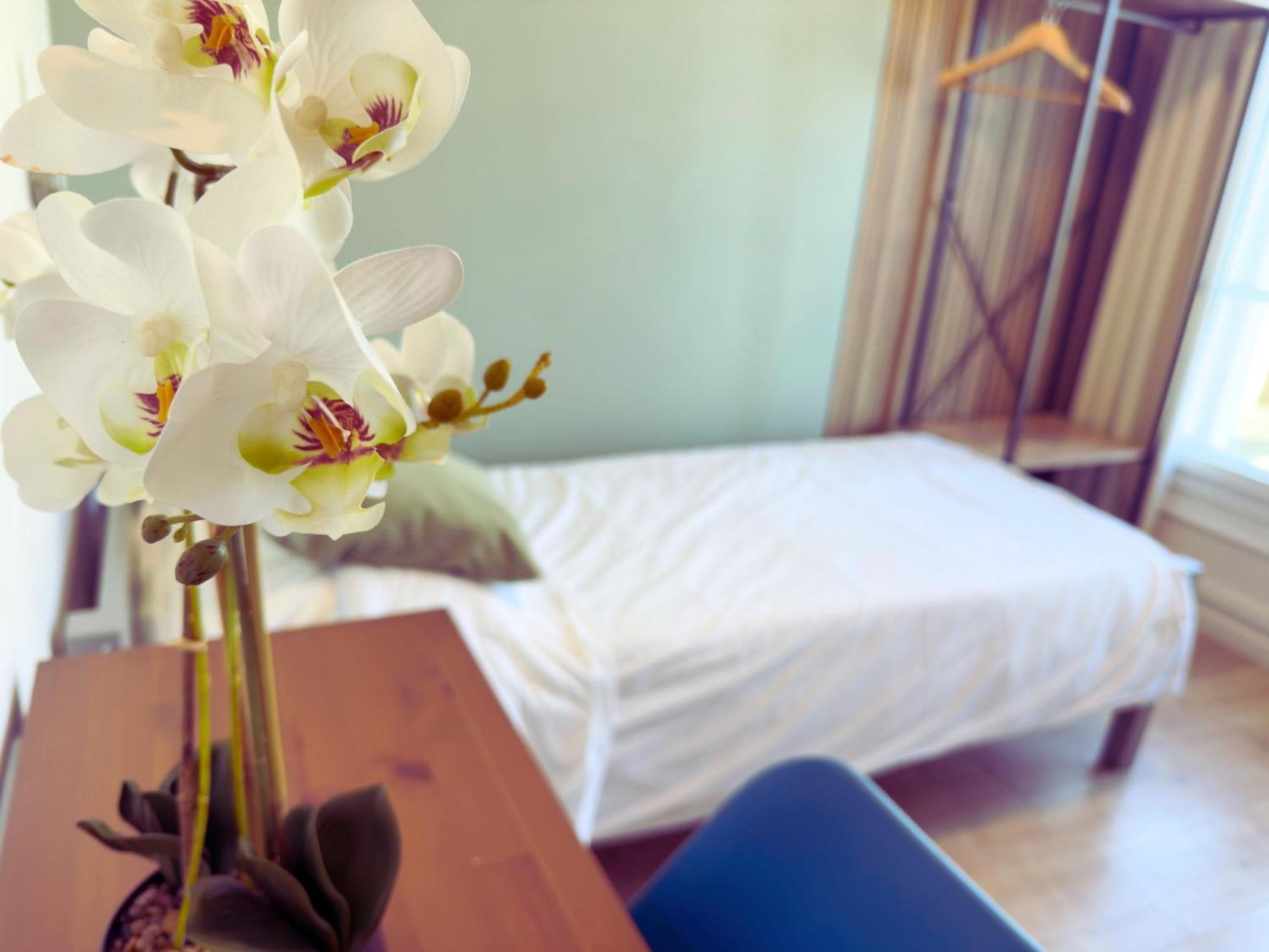 לה האברה L'Escale Appartements Et Suites En Bord De Mer מראה חיצוני תמונה